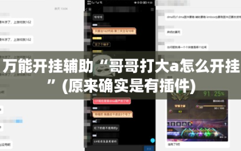 万能开挂辅助“哥哥打大a怎么开挂”(原来确实是有插件)