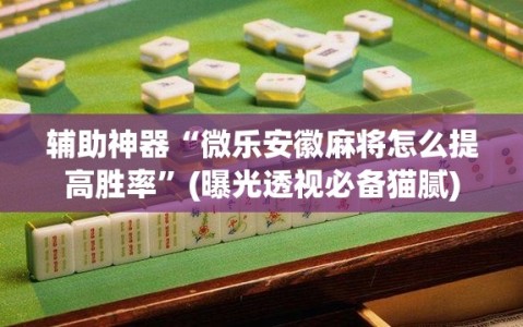 辅助神器“微乐安徽麻将怎么提高胜率”(曝光透视必备猫腻)