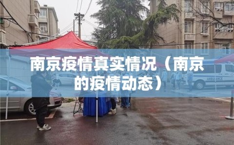 南京疫情真实情况（南京的疫情动态）