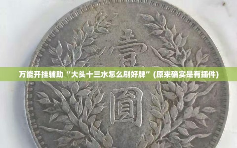万能开挂辅助“大头十三水怎么刷好牌”(原来确实是有插件)