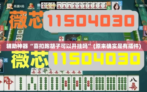 辅助神器“喜扣跑胡子可以开挂吗”(原来确实是有插件)