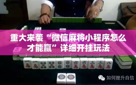 重大来袭“微信麻将小程序怎么才能赢”详细开挂玩法