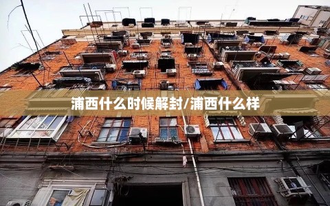 浦西什么时候解封/浦西什么样