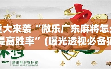 重大来袭“微乐广东麻将怎么提高胜率”(曝光透视必备猫腻)
