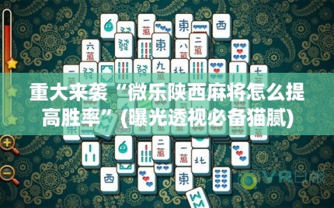 重大来袭“微乐陕西麻将怎么提高胜率”(曝光透视必备猫腻)