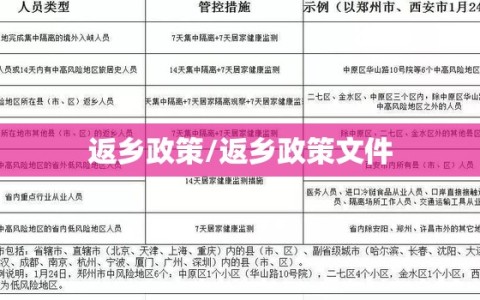 返乡政策/返乡政策文件