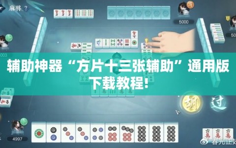 辅助神器“方片十三张辅助”通用版下载教程!