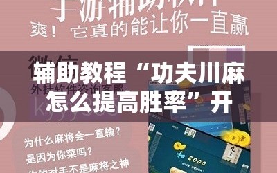 辅助教程“功夫川麻怎么提高胜率”开挂详细安装教程