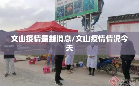 文山疫情最新消息/文山疫情情况今天
