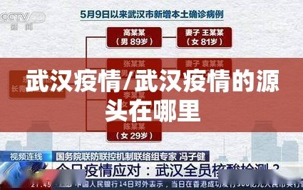 武汉疫情/武汉疫情的源头在哪里