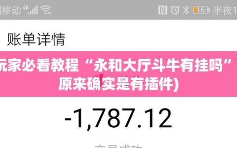 玩家必看教程“永和大厅斗牛有挂吗”(原来确实是有插件)