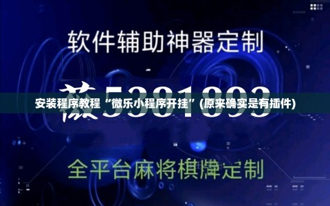 安装程序教程“微乐小程序开挂”(原来确实是有插件)
