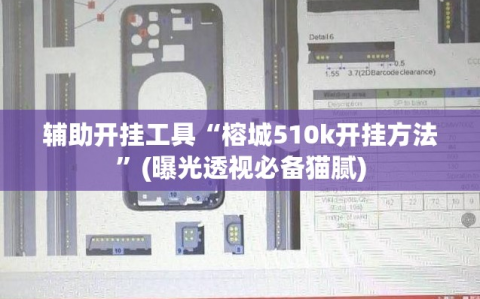 辅助开挂工具“榕城510k开挂方法”(曝光透视必备猫腻)
