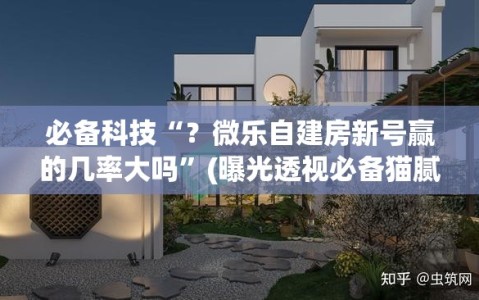 必备科技“？微乐自建房新号赢的几率大吗”(曝光透视必备猫腻)