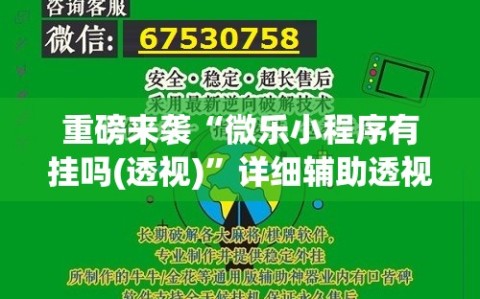 重磅来袭“微乐小程序有挂吗(透视)”详细辅助透视