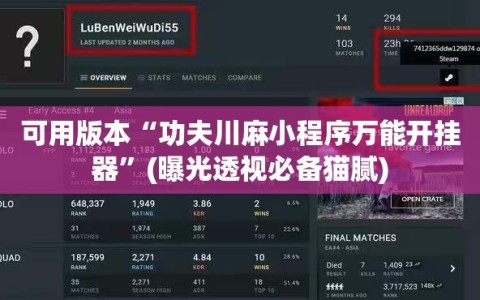 可用版本“功夫川麻小程序万能开挂器”(曝光透视必备猫腻)