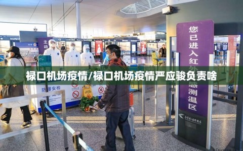 禄口机场疫情/禄口机场疫情严应骏负责啥