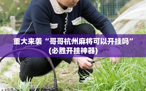重大来袭“哥哥杭州麻将可以开挂吗”(必胜开挂神器)