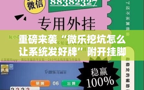 重磅来袭“微乐挖坑怎么让系统发好牌”附开挂脚本详细教程