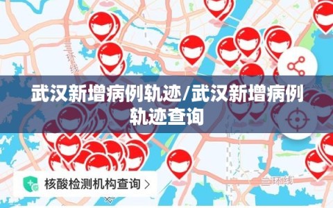 武汉新增病例轨迹/武汉新增病例轨迹查询