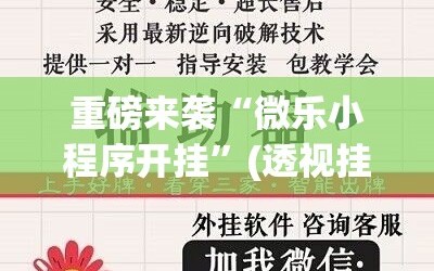重磅来袭“微乐小程序开挂”(透视挂)辅助透视教程