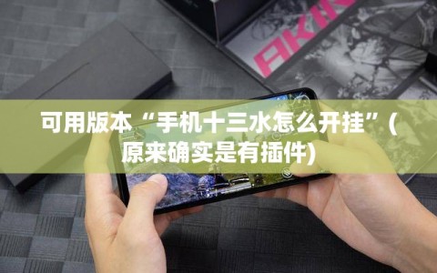 可用版本“手机十三水怎么开挂”(原来确实是有插件)