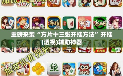 重磅来袭“方片十三张开挂方法”开挂(透视)辅助神器