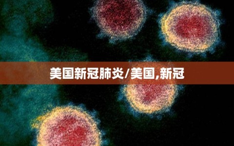 美国新冠肺炎/美国,新冠