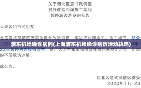 浦东机场确诊病例(上海浦东机场确诊病历活动轨迹)