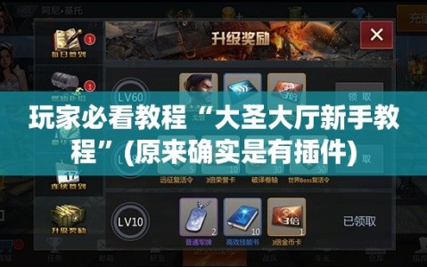 玩家必看教程“大圣大厅新手教程”(原来确实是有插件)
