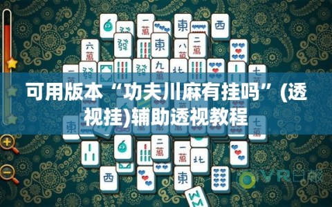 可用版本“功夫川麻有挂吗”(透视挂)辅助透视教程