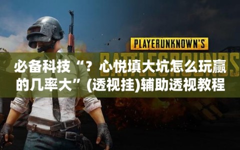 必备科技“？心悦填大坑怎么玩赢的几率大”(透视挂)辅助透视教程