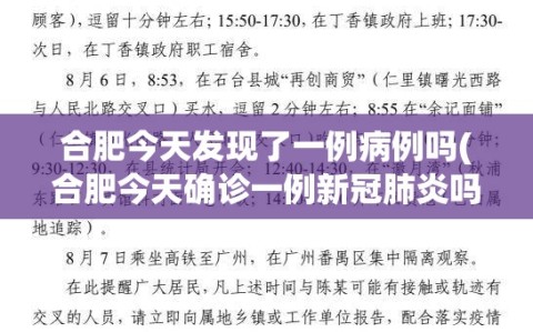 合肥今天发现了一例病例吗(合肥今天确诊一例新冠肺炎吗)