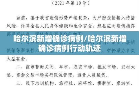哈尔滨新增确诊病例/哈尔滨新增确诊病例行动轨迹