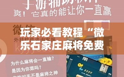 玩家必看教程“微乐石家庄麻将免费挂”详细开挂玩法