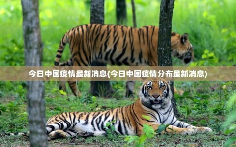 今日中国疫情最新消息(今日中国疫情分布最新消息)