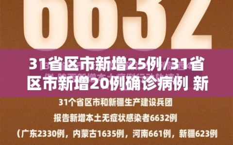 31省区市新增25例/31省区市新增20例确诊病例 新闻