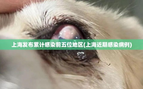 上海发布累计感染前五位地区(上海近期感染病例)