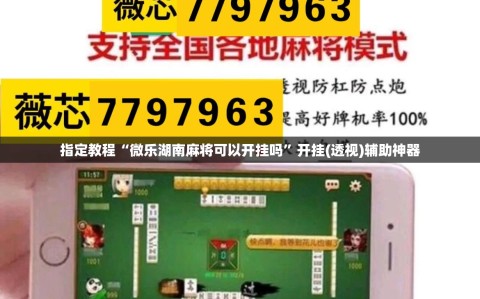 指定教程“微乐湖南麻将可以开挂吗”开挂(透视)辅助神器