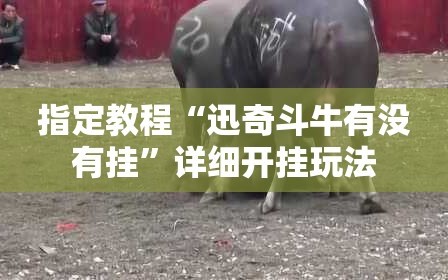 指定教程“迅奇斗牛有没有挂”详细开挂玩法