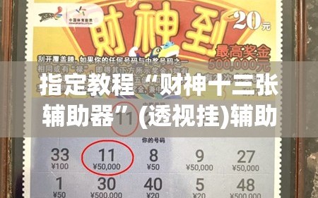 指定教程“财神十三张辅助器”(透视挂)辅助透视教程