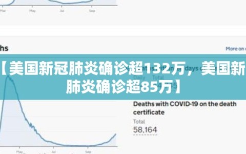 【美国新冠肺炎确诊超132万，美国新冠肺炎确诊超85万】