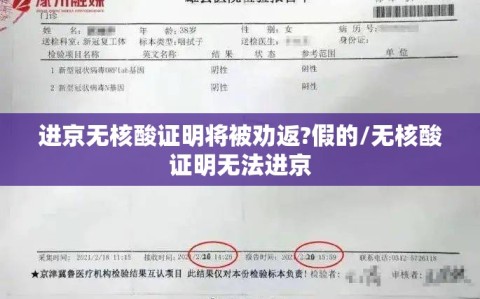 进京无核酸证明将被劝返?假的/无核酸证明无法进京