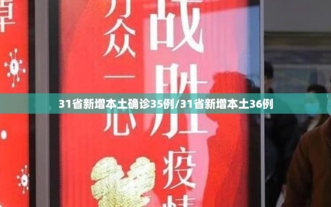 31省新增本土确诊35例/31省新增本土36例