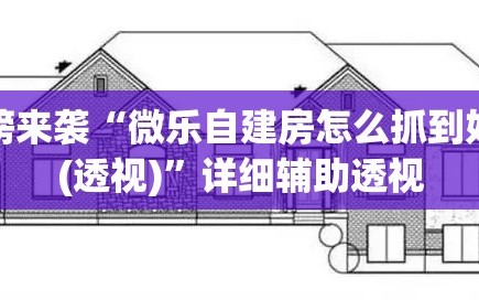 重磅来袭“微乐自建房怎么抓到好牌(透视)”详细辅助透视