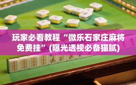 玩家必看教程“微乐石家庄麻将免费挂”(曝光透视必备猫腻)