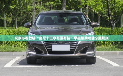 玩家必看教程“皇冠十三水有没有挂”掌握辅助功能必胜规则