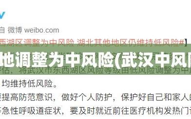 武汉两地调整为中风险(武汉中风险地区)