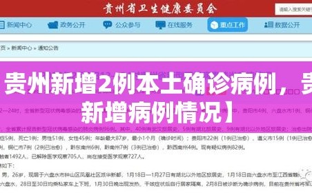 【贵州新增2例本土确诊病例，贵州新增病例情况】