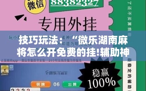 技巧玩法：“微乐湖南麻将怎么开免费的挂!辅助神器插件下载